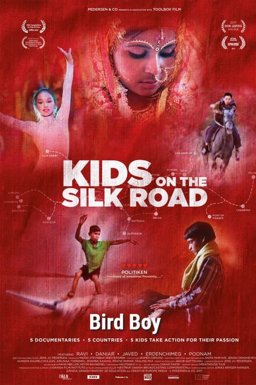 Poster for Bird Boy