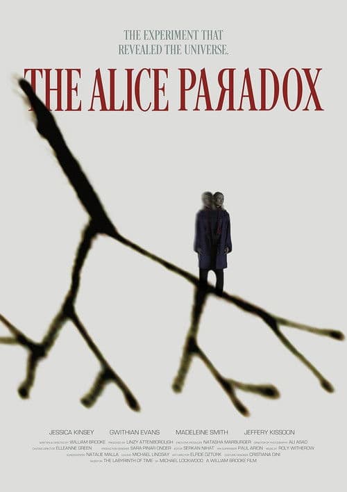 Poster for The Alice Paradox