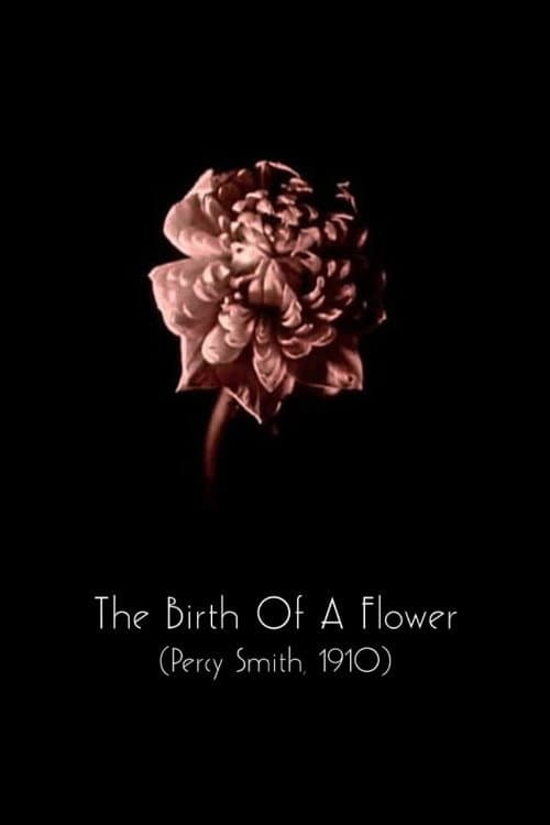 Poster for The Birth of a Flower