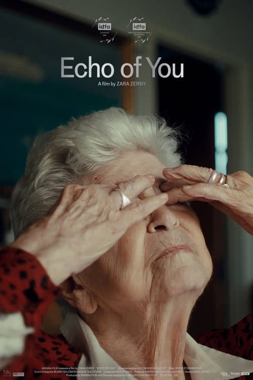 Poster for Echo of You