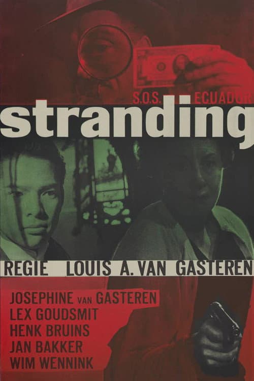 Poster for The Stranding