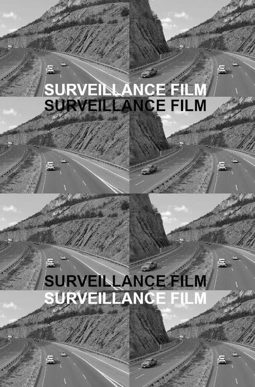 Poster for Surveillance Film