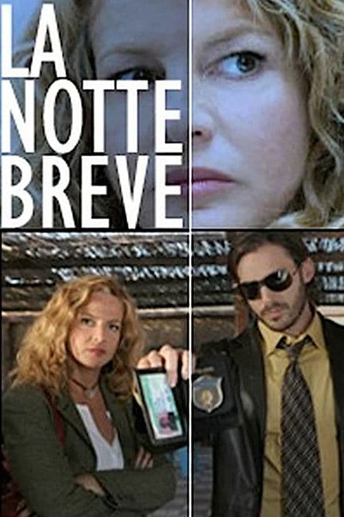Poster for The Short Night