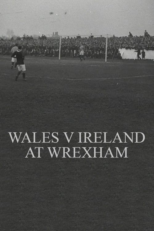 Poster for Wales v. Ireland at Wrexham