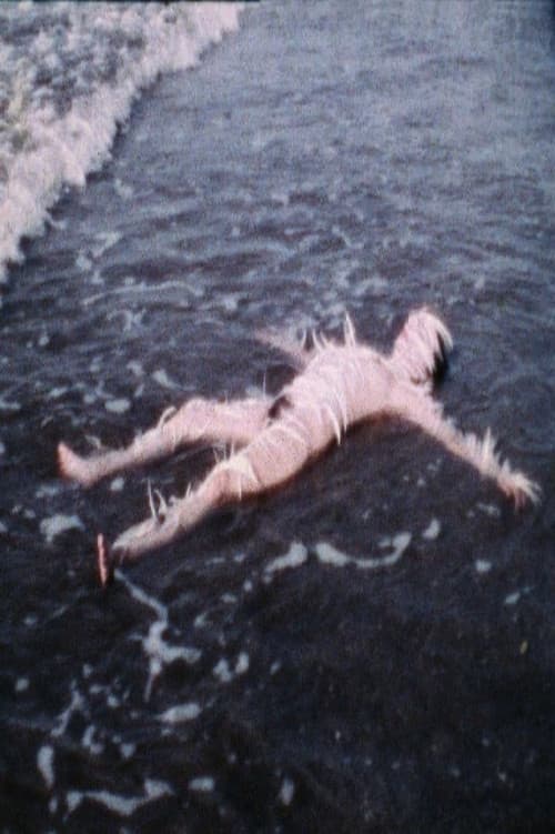 Poster for Ocean Bird (Washup)