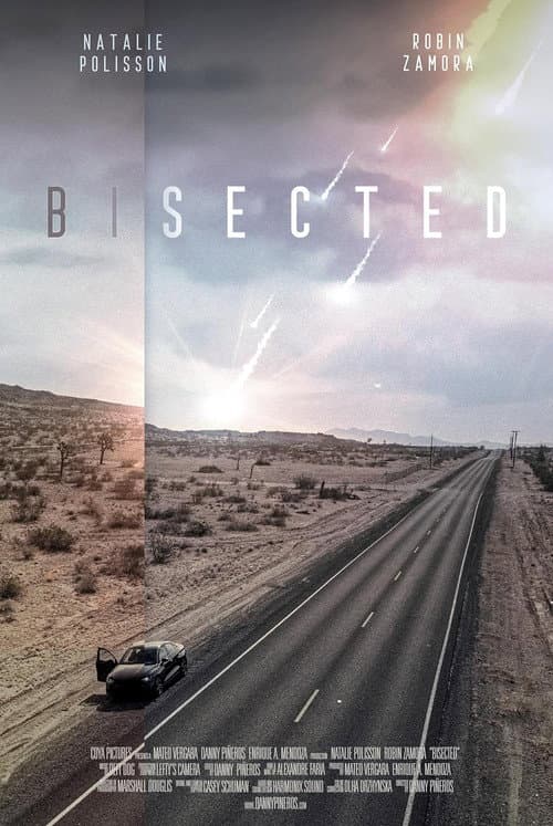 Poster for Bisected