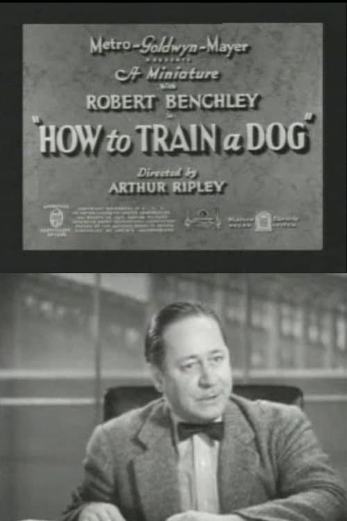 Poster for How to Train a Dog