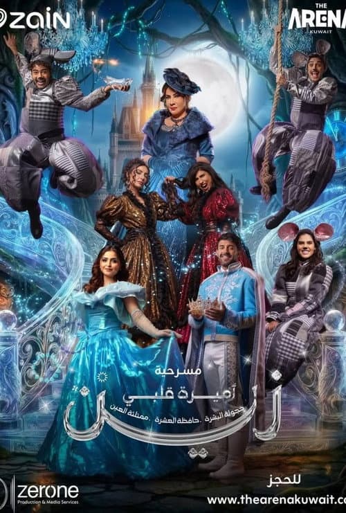 Poster for اميرة قلبي زين