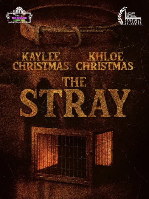 Poster for The Stray