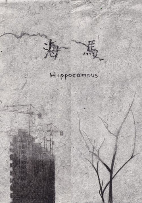 Poster for Hippocampus