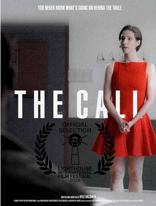 Poster for The Call