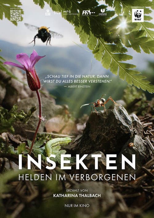 Постер до фільму «Insects – Hidden Heroes»