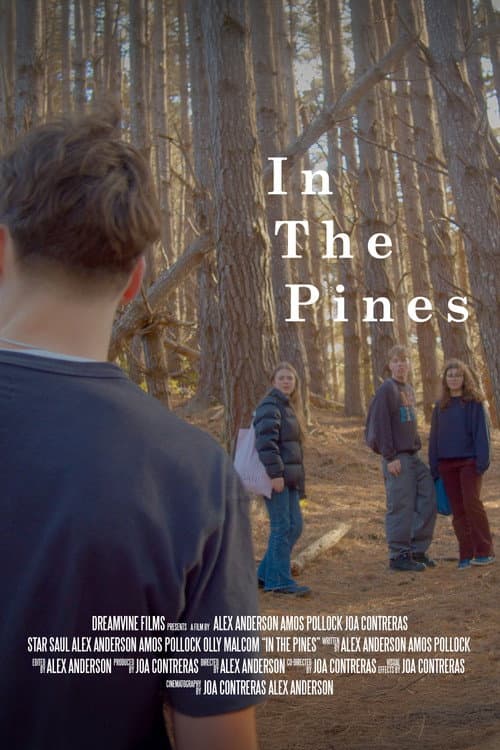 Poster for In The Pines
