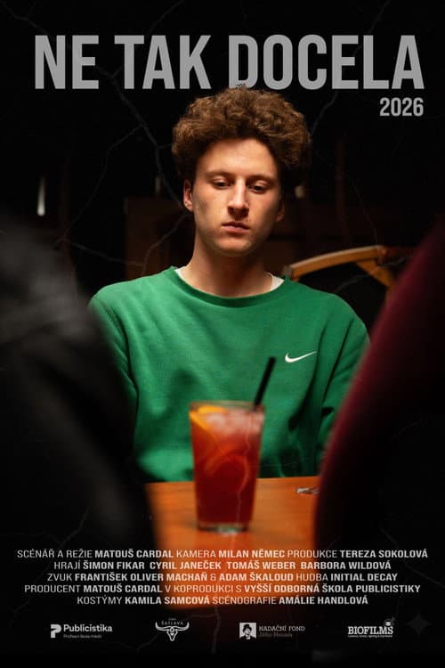 Poster for Not Exactly