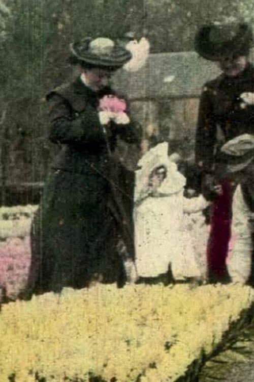 Постер до фільму «Flower Fields of Haarlem»