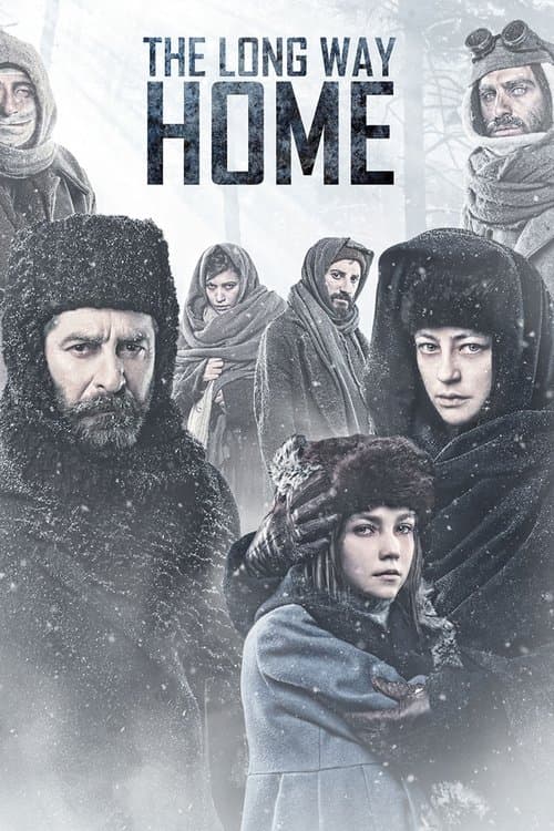 Poster for The Long Way Home