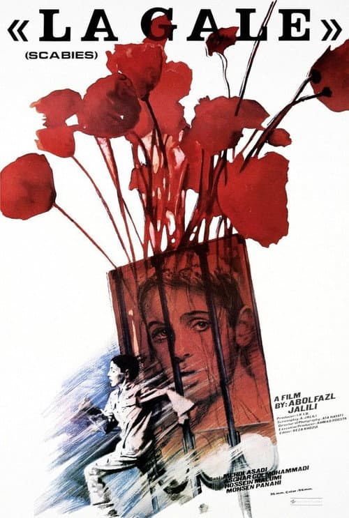 Poster for Scabies