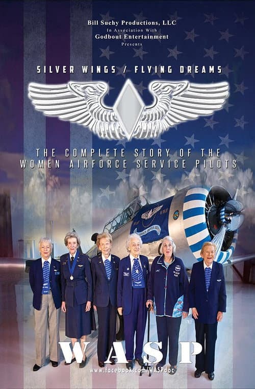 Poster for Silver Wings / Flying Dreams  - The Complete Story of the Women Airforce Service Pilots