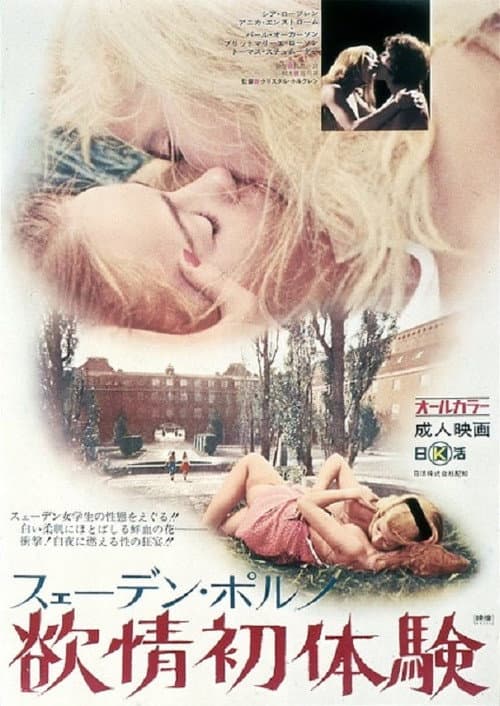 Poster for Swedish Porno: Desire First Sex Experience