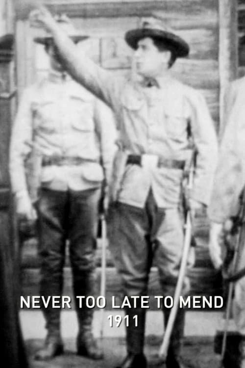 Poster for Never Too Late to Mend