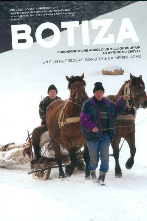 Poster for Botiza