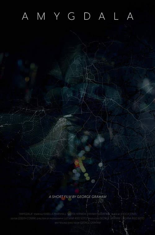Poster for Amygdala