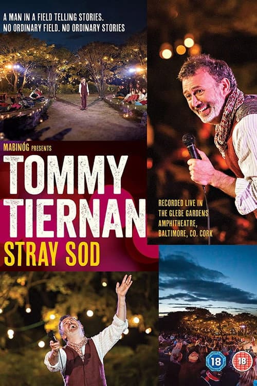 Poster for Tommy Tiernan Stray Sod
