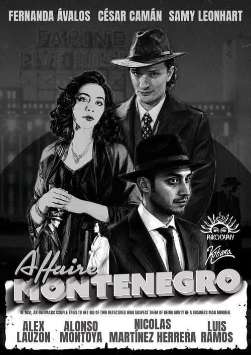Poster for The Montenegro Affair
