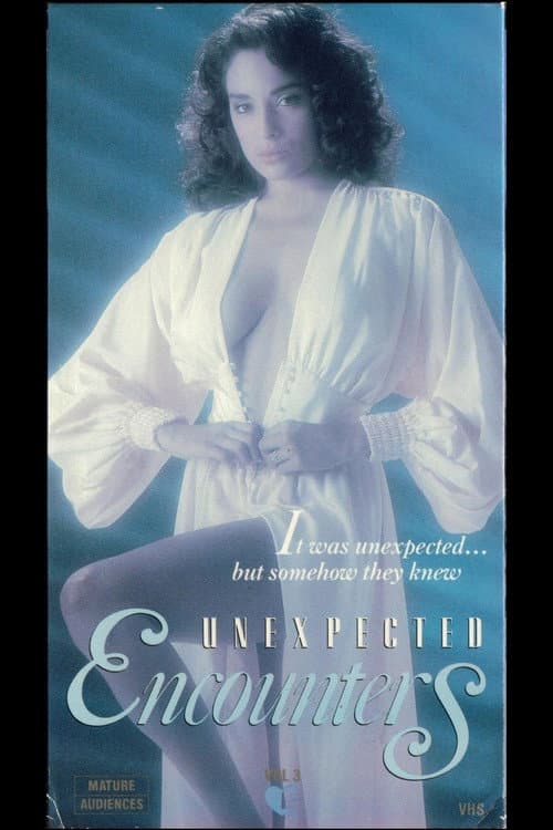 Poster for Unexpected Encounters Volume 3