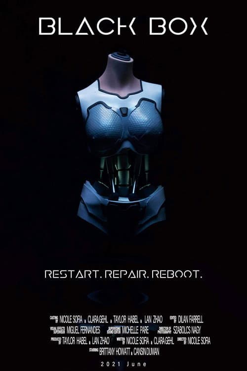 Poster for Black Box