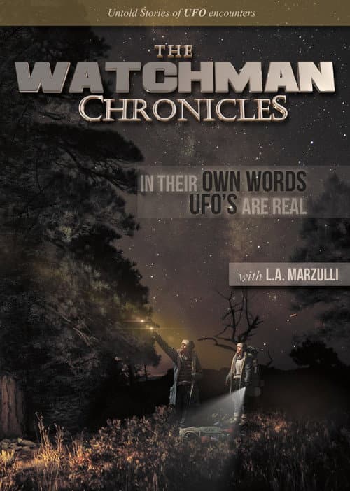 Poster for The Watchman Chronicles