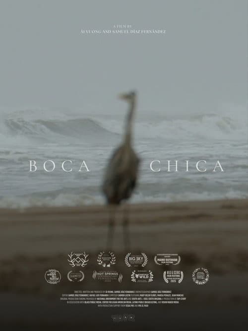Poster for Boca Chica