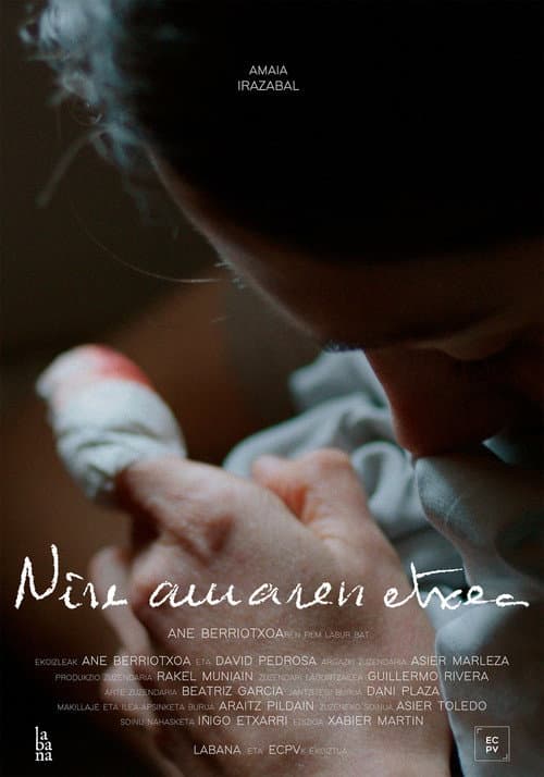 Poster for Nire Amaren Etxea