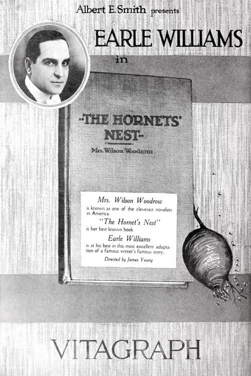 Poster for Hornet's Nest