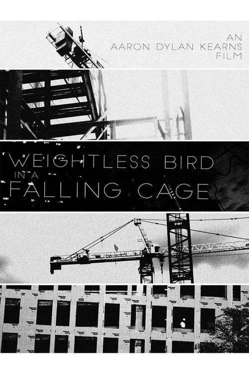 Poster for Weightless Bird In A Falling Cage