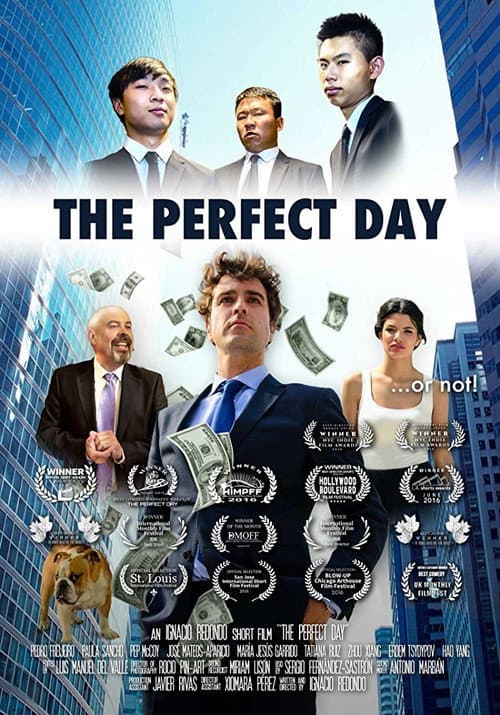 Poster for The Perfect Day