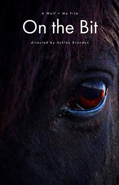 Poster for On the Bit