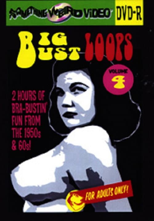 Poster for Big Bust Loops Volume 4
