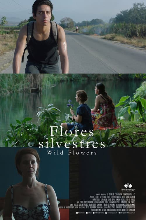 Poster for Wild Flowers