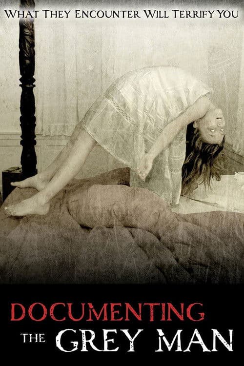 Poster for Documenting the Grey Man