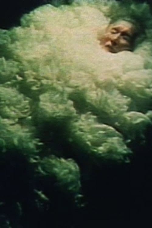 Poster for The Sleeping Flower