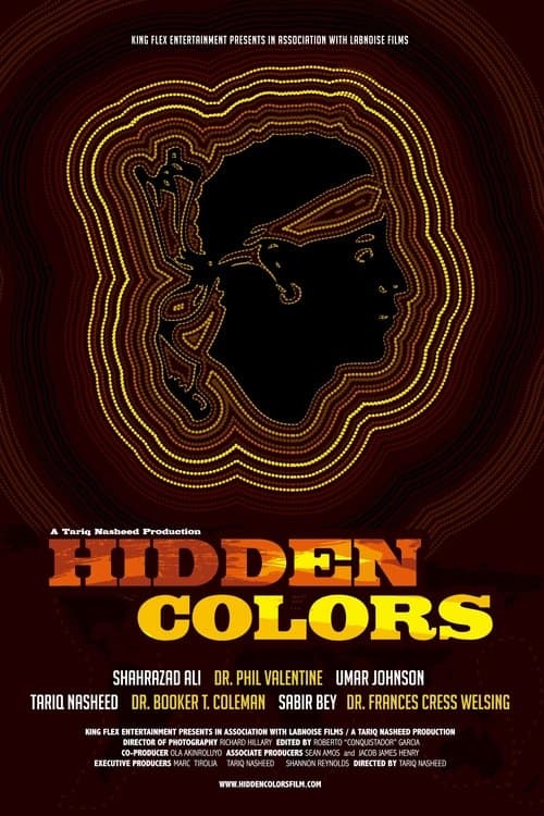 Poster for Hidden Colors