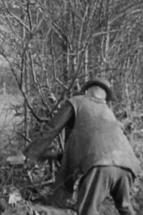 Poster for Hedging