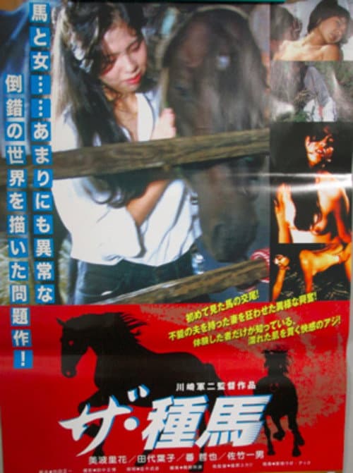 Poster for The Stallion
