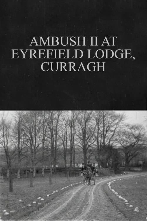 Poster for Ambush II at Eyrefield Lodge, Curragh