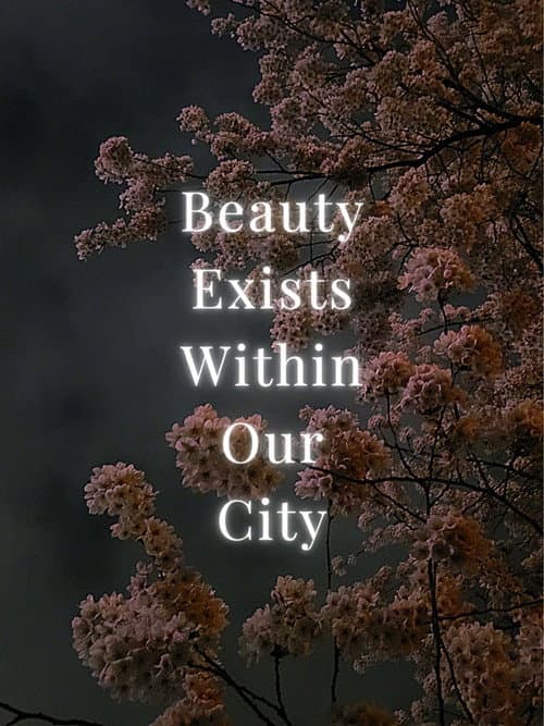 Poster for Beauty Exists Within Our City