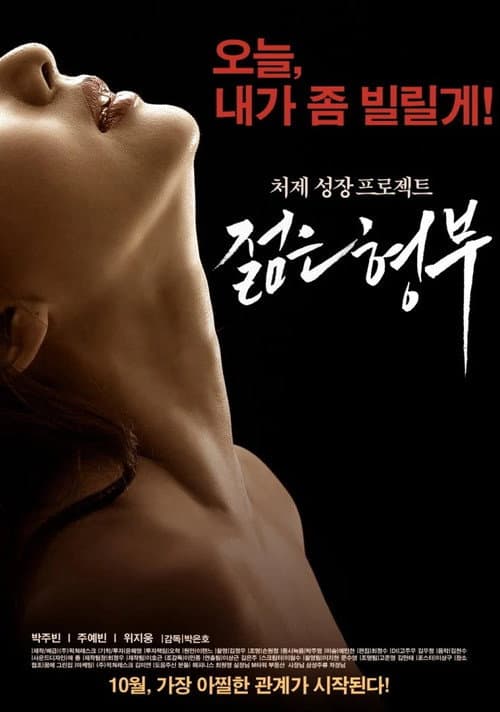 Poster for Sister's Younger Husband