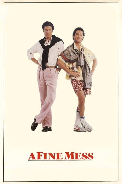 Poster for A Fine Mess