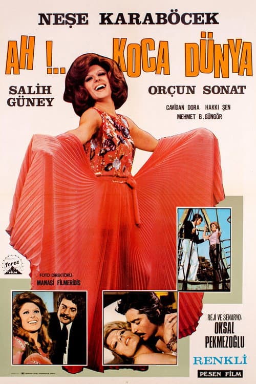 Poster for Ah Koca Dünya