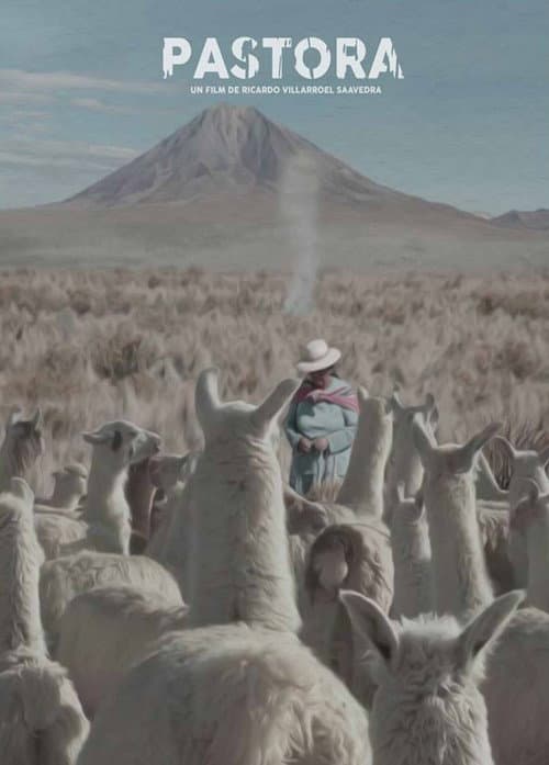 Poster for Andean Sheperdess